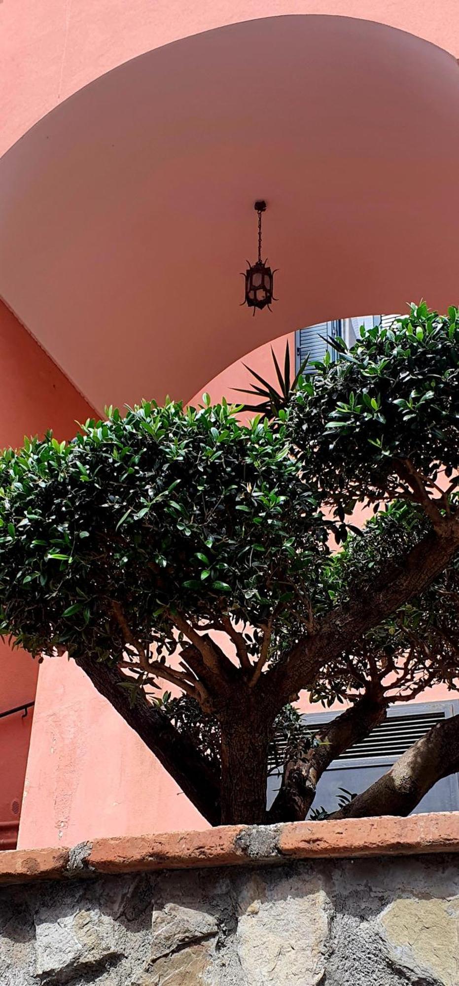 La Maison Rose Maiori Dış mekan fotoğraf